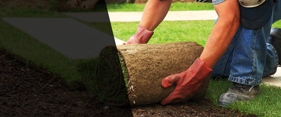 Pleasant Prairie Landscapers